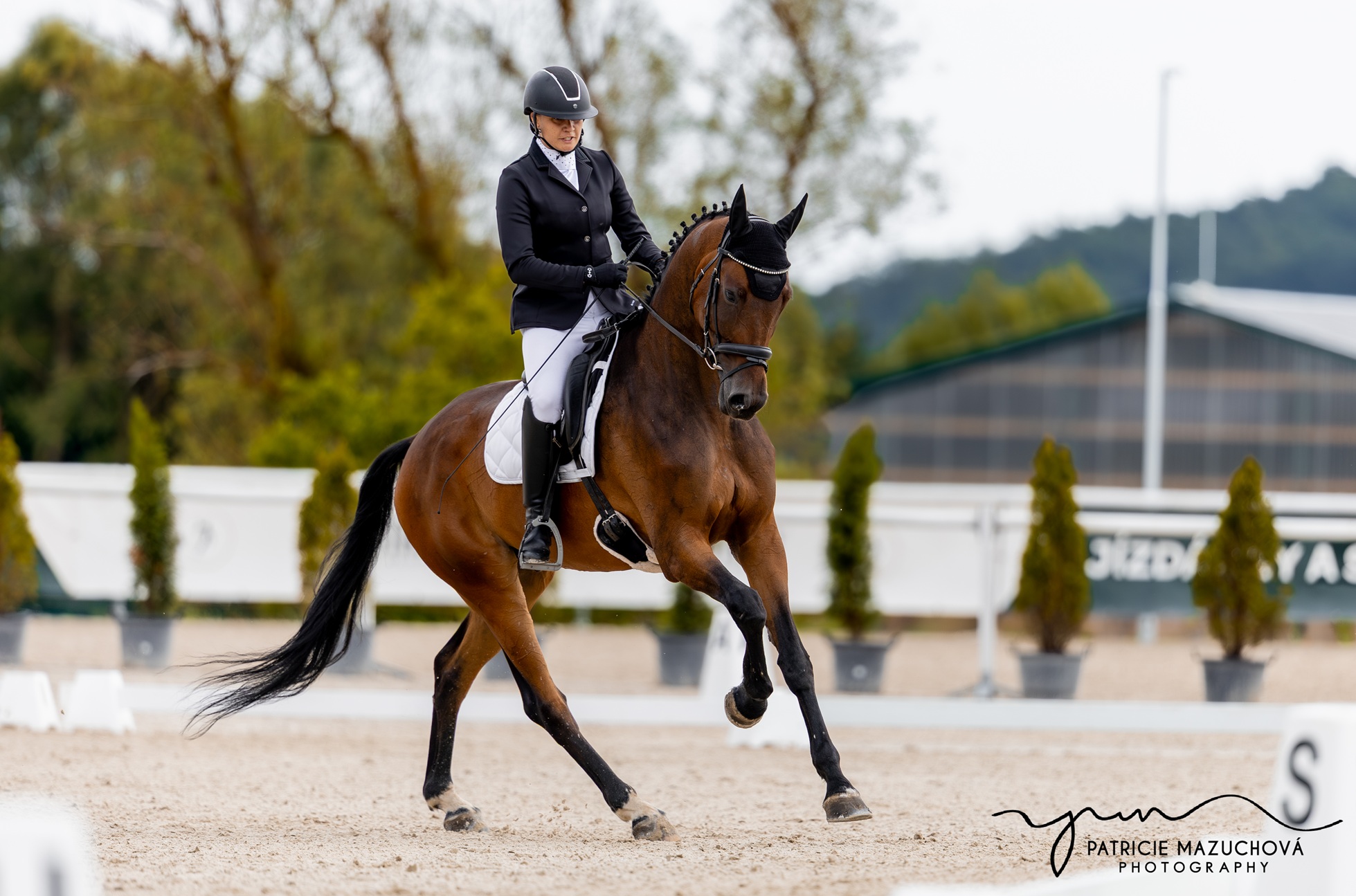 Drezurní halové závody Spálené Poříčí (22.02.)