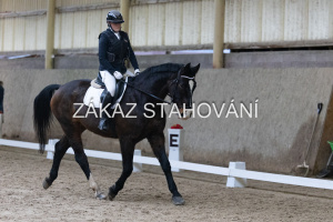 ZH1 hobby (1000).JPG