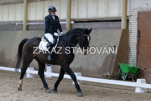 ZH1 hobby (1001).JPG