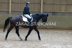 ZH1 hobby (1002).JPG