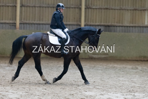 ZH1 hobby (1003).JPG