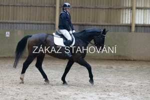 ZH1 hobby (1004).JPG