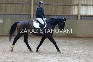 ZH1 hobby (1005).JPG