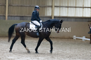 ZH1 hobby (1006).JPG