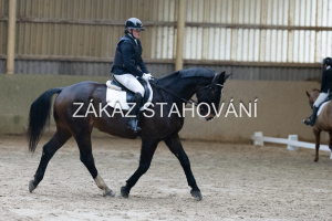 ZH1 hobby (1007).JPG