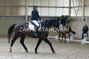 ZH1 hobby (1008).JPG