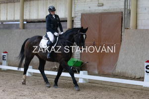 ZH1 hobby (1009).JPG