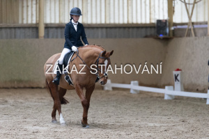 ZH1 hobby (1010).JPG