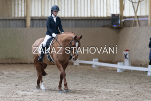 ZH1 hobby (1012).JPG