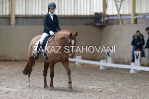 ZH1 hobby (1013).JPG