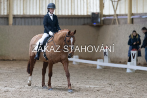 ZH1 hobby (1015).JPG