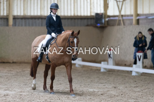 ZH1 hobby (1016).JPG