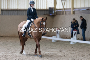 ZH1 hobby (1017).JPG