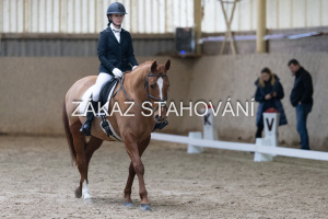 ZH1 hobby (1018).JPG