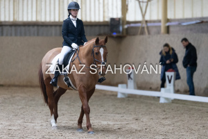 ZH1 hobby (1019).JPG