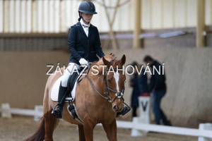 ZH1 hobby (1020).JPG