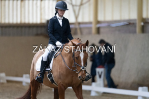 ZH1 hobby (1021).JPG