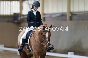 ZH1 hobby (1022).JPG