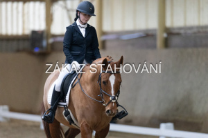 ZH1 hobby (1023).JPG