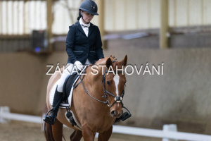 ZH1 hobby (1024).JPG