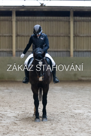 ZH1 hobby (1025).JPG