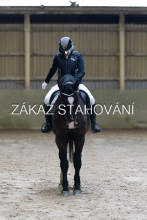 ZH1 hobby (1026).JPG