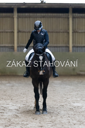 ZH1 hobby (1027).JPG