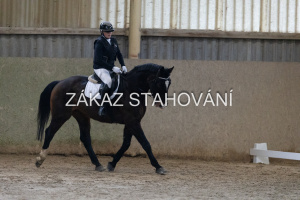 ZH1 hobby (1029).JPG