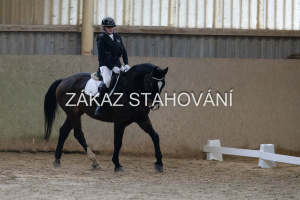 ZH1 hobby (1030).JPG