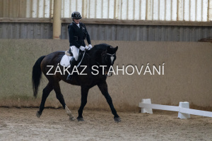 ZH1 hobby (1031).JPG