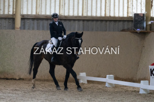 ZH1 hobby (1032).JPG