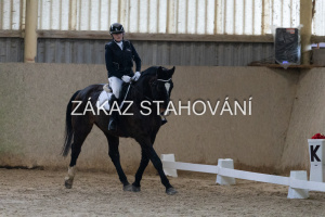 ZH1 hobby (1033).JPG