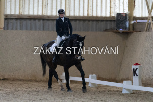 ZH1 hobby (1034).JPG