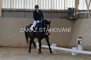 ZH1 hobby (1035).JPG