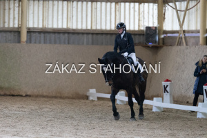 ZH1 hobby (1037).JPG