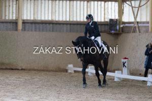 ZH1 hobby (1038).JPG