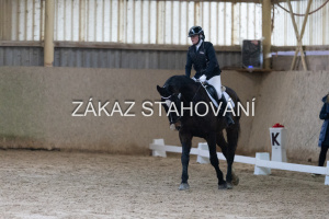 ZH1 hobby (1039).JPG