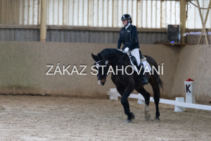 ZH1 hobby (1040).JPG