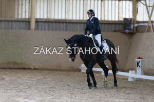 ZH1 hobby (1041).JPG