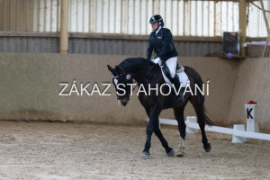 ZH1 hobby (1043).JPG