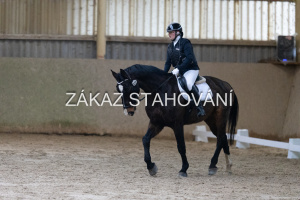 ZH1 hobby (1044).JPG