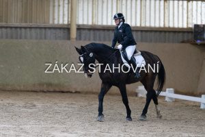 ZH1 hobby (1045).JPG