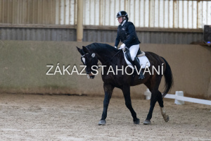 ZH1 hobby (1046).JPG