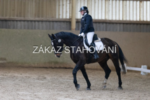 ZH1 hobby (1047).JPG