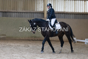 ZH1 hobby (1048).JPG