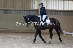 ZH1 hobby (1049).JPG