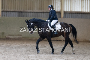 ZH1 hobby (1050).JPG