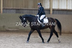 ZH1 hobby (1051).JPG