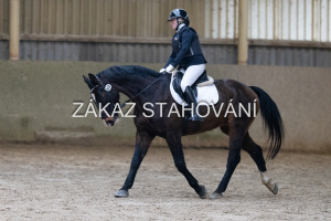 ZH1 hobby (1052).JPG