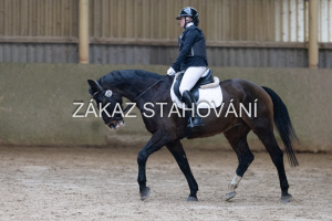 ZH1 hobby (1053).JPG